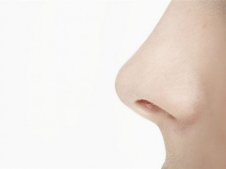 17031-nos-prechladnutie-nadcha-clanok